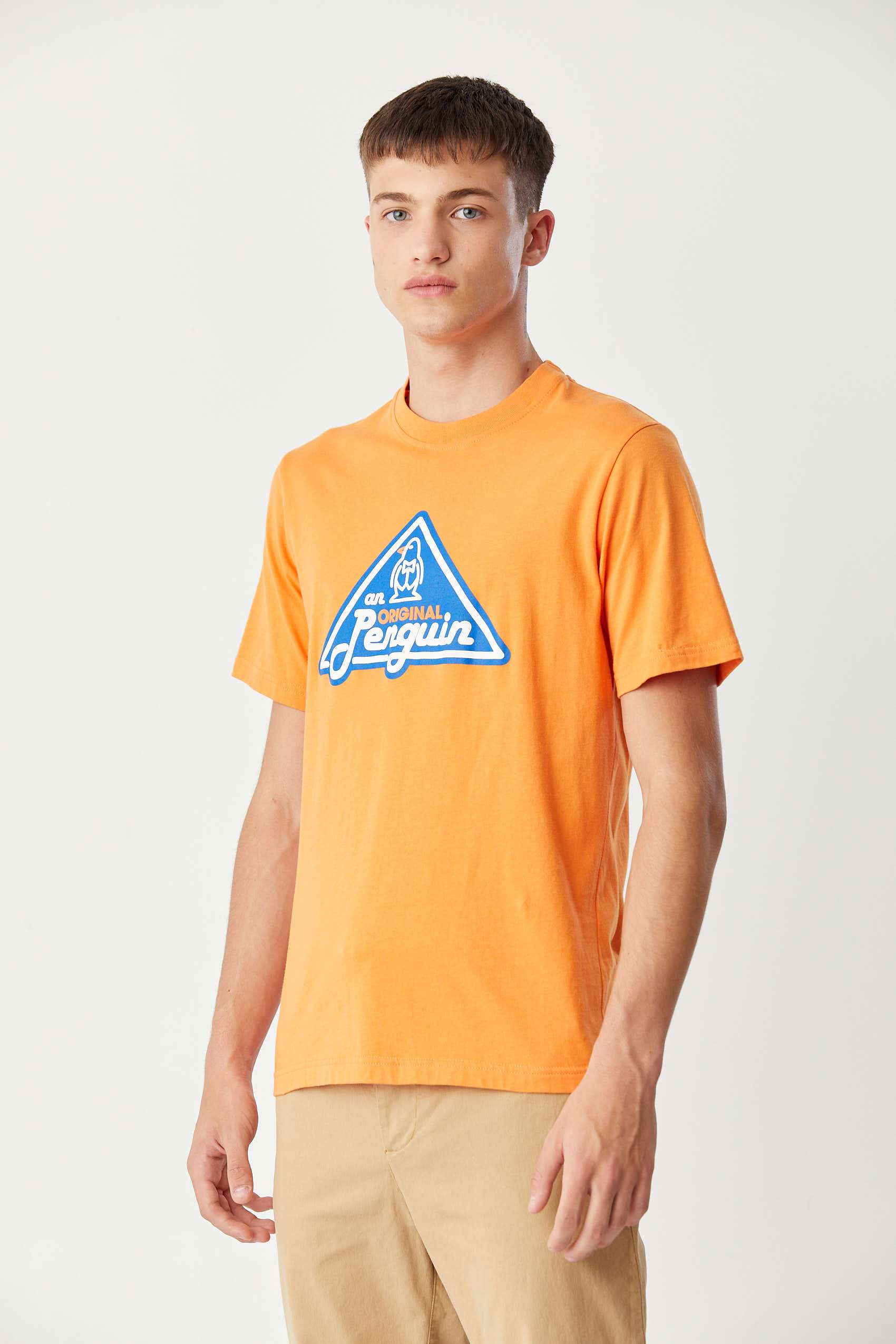 Ss Triangle Retro Logo Tee